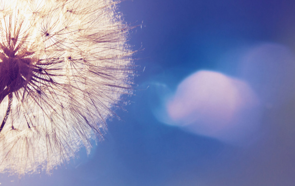 人生就是博·(中国) - 官方网站