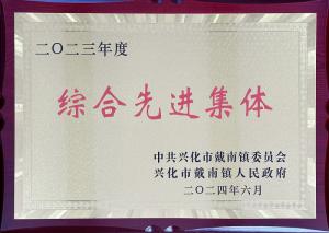 2023年综合先进整体